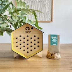 Abri abeilles sauvages + cocons + suivi