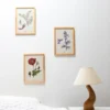 3 affiches plantes médicinales a4