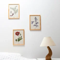 3 affiches plantes médicinales a4