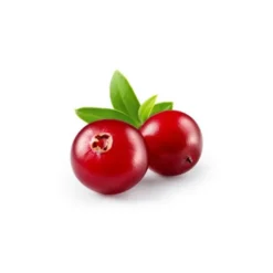 Airelle - macérat de bourgeons bio 15ml 15