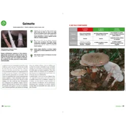 Aller aux champignons