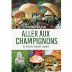 Aller aux champignons