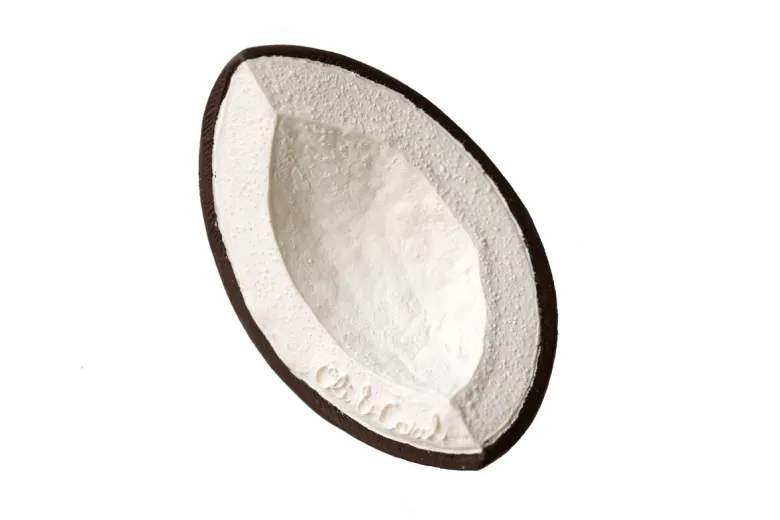 Anneau de dentition coco la noix de coco