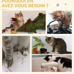Arbre à chat griffoir 2 niveaux h. 49 cm boule suspendue