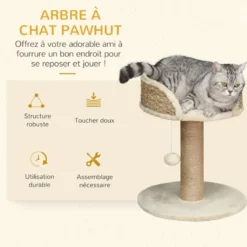 Arbre à chat griffoir 2 niveaux h. 49 cm boule suspendue