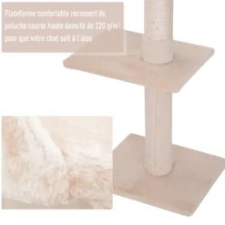 Arbre à chat 5 niveaux d'activités