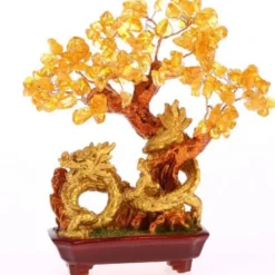 Arbre dragon en citrine