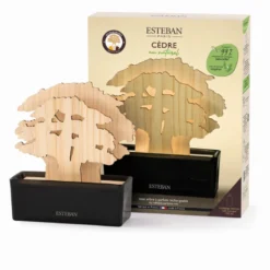 Arbre à parfum et recharge Cèdre naturel Esteban