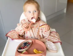 Assiette à compartiments ventousée