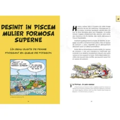 Astérix Les citations latines expliquées