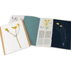 Atelier création d'un herbier avec presse à fleurs