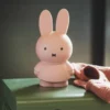 Atelier pierre tirelire miffy warm 18 cm