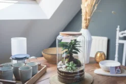Atelier - terrarium - lille