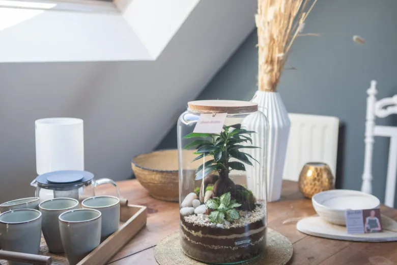 Atelier - terrarium - lille