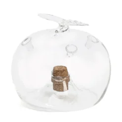 Attrape-mouches des fruits en forme de pomme verre et liège
