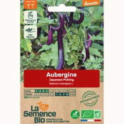 Aubergine japanese pickling bio