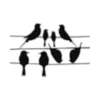 Autocollants oiseaux pour fenêtre - anti