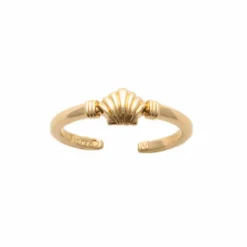 Bague or coquillage st jacques mer plage