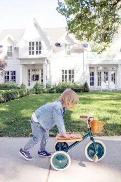 Banwood tricycle vert foncé