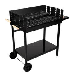 Barbecue au charbon galicia