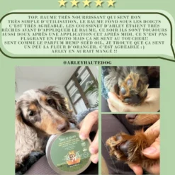 Baume chien naturel & bio, soin pattes & truffe hydratant anti-démangeaison