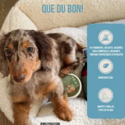 Baume chien naturel & bio, soin pattes & truffe hydratant anti-démangeaison