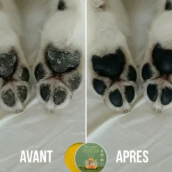 Baume chien naturel & bio, soin pattes & truffe hydratant anti-démangeaison