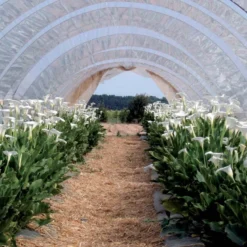 Bâche de protection 2x3 m 160 g-m2