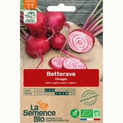 Betterave chioggia bio