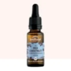 Biofloral - fleur de bach n°25 red chestnut, marronnier rouge - bio demeter