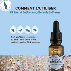 Biofloral - fleur de bach n°29 star of bethlehem, étoile de bethléem - demeter