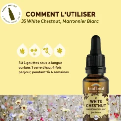 Biofloral - fleur de bach n°35 white chestnut, marronnier blanc - bio demeter