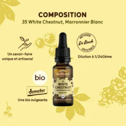 Biofloral - fleur de bach n°35 white chestnut, marronnier blanc - bio demeter