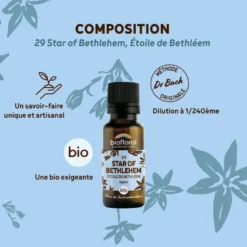 Biofloral - 29 star of bethlehem, étoile de bethléem - bio