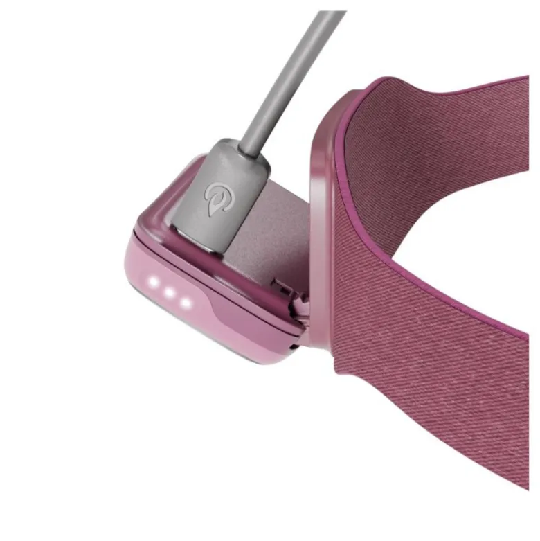 Biolite range 300 - lampe frontale led 300 lm - running - recharge rapide ip67 Violet
