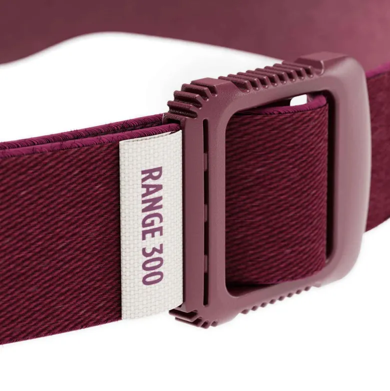 Biolite range 300 - lampe frontale led 300 lm - running - recharge rapide ip67 Violet