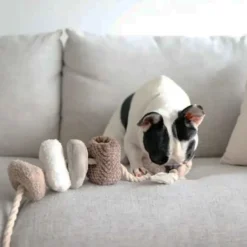 Bloocs, jouet chien set 4 blocs à mâcher