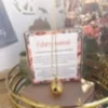 Bola de grossesse or décembre