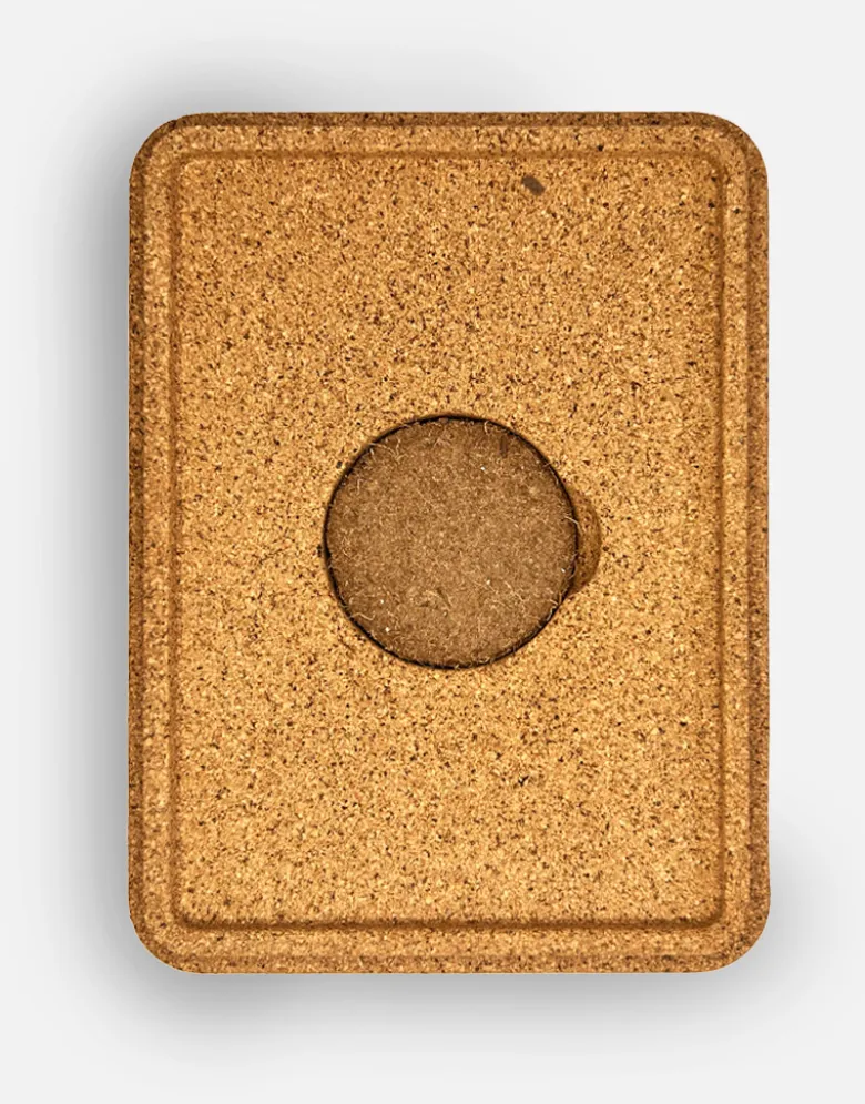 Boîte à germer