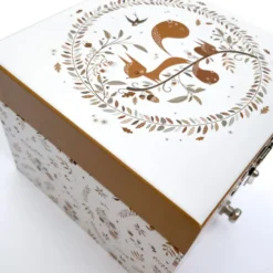 Boîte à musique cube écureuil dans la prairie lutin petit pois