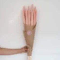 Botte de babala rose