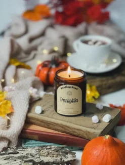 Bougie parfumée citrouille cire végétale