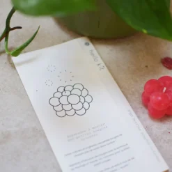 Bougies bubble-cube- kit diy