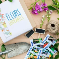 Box de graines de fleurs grimpantes