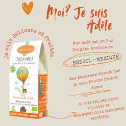 Box de 5 x 200 g cafés grain bio du brésil et mexique