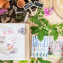 Box graines de fleurs de juin