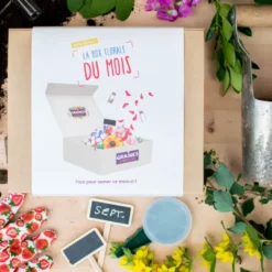 Box graines de fleurs de septembre