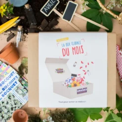Box graines de fleurs à semer en avril