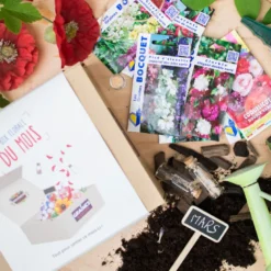 Box graines de fleurs à semer en mars