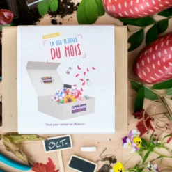 Box graines de fleurs à semer en octobre